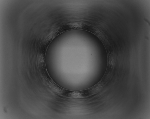 X0000101450518200807141247