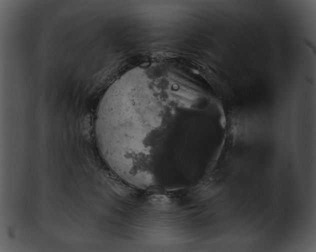 X0000101450519200807141247