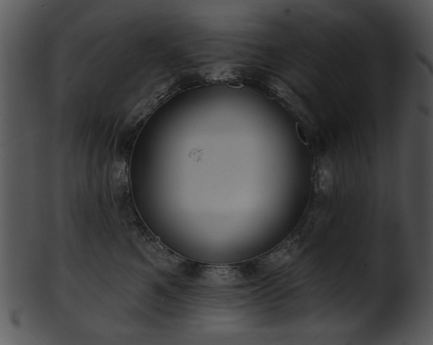 X0000101450521200807141247