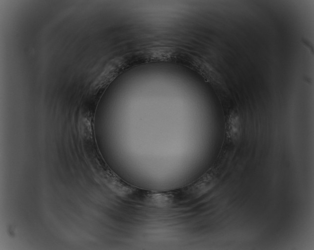 X0000101450522200807141247