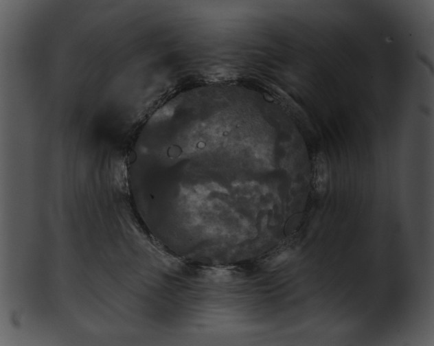 X0000101450523200807141247