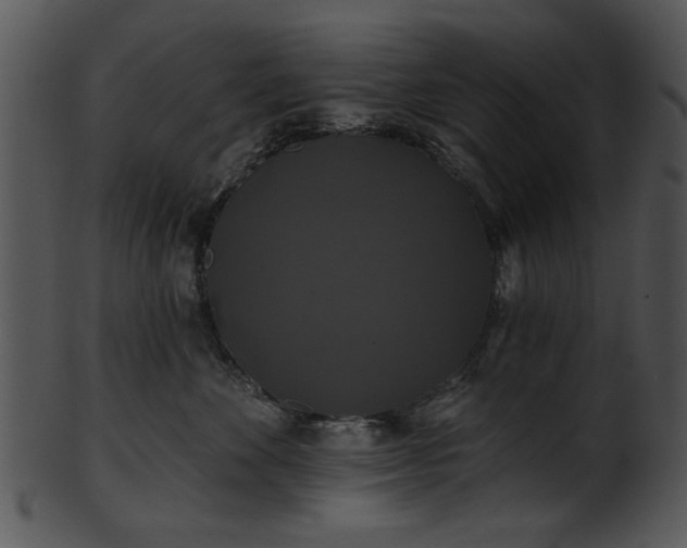 X0000101450524200807141247