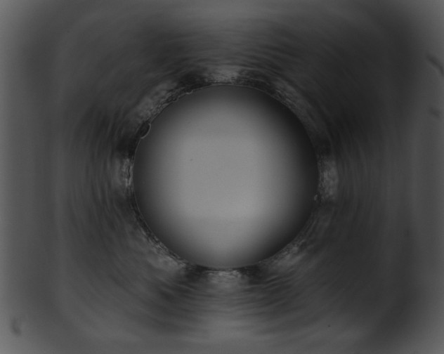 X0000101450525200807141247