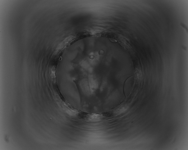 X0000101450527200807141247