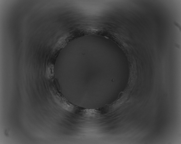 X0000101450528200807141247