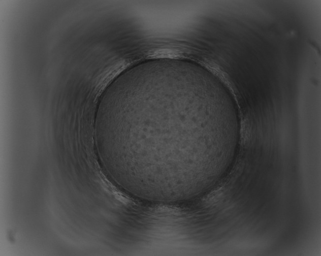 X0000101450529200807141246