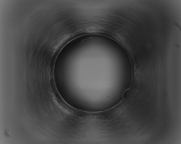 X0000101450530200807141246