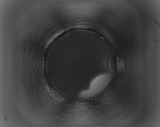 X0000101450531200807141246