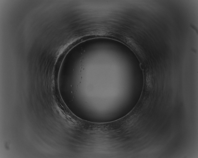 X0000101450532200807141246