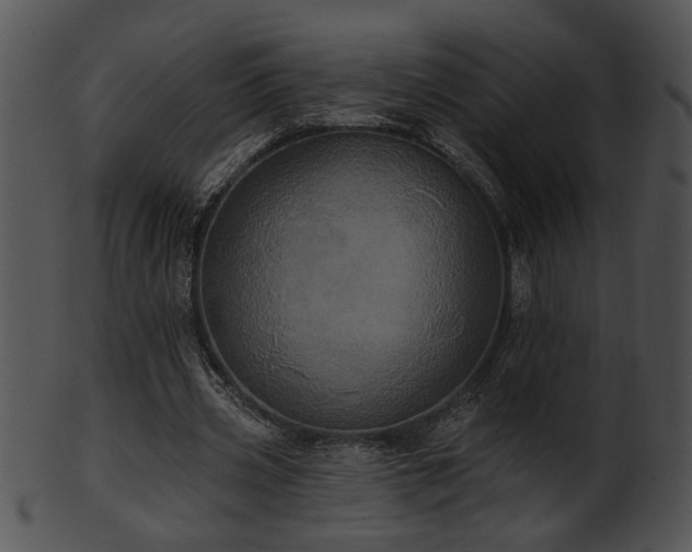 X0000101450533200807141246