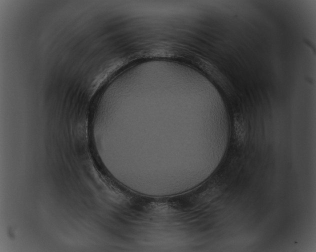 X0000101450534200807141246