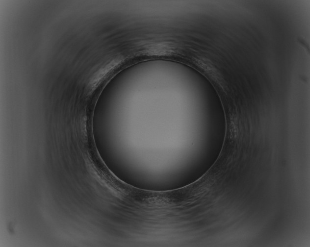 X0000101450535200807141246