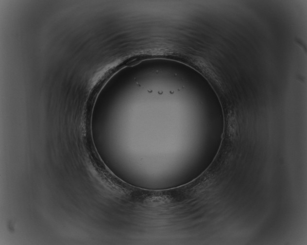 X0000101450536200807141246