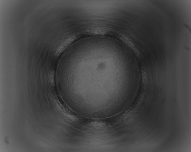 X0000101450537200807141246