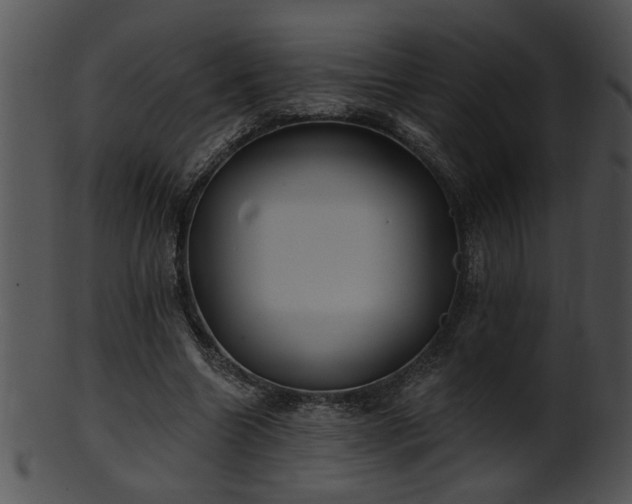 X0000101450538200807141246