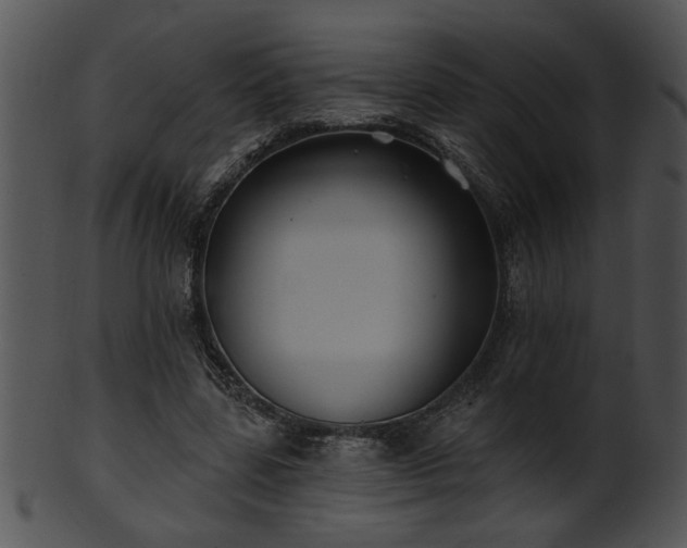 X0000101450539200807141246