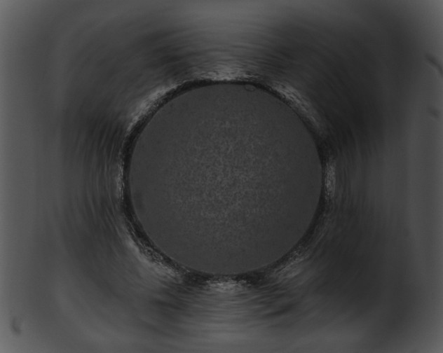 X0000101450540200807141246