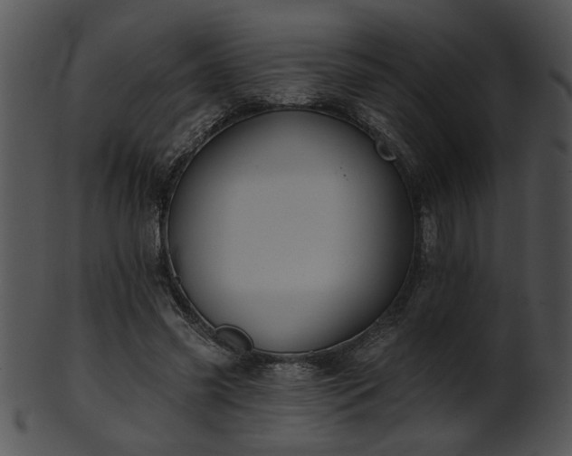 X0000101450541200807141246