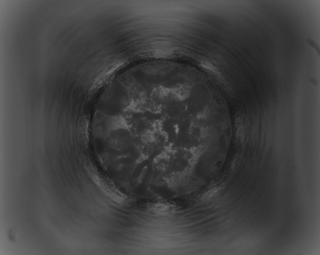 X0000101450542200807141246