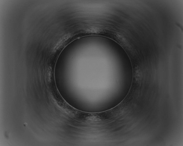 X0000101450544200807141246