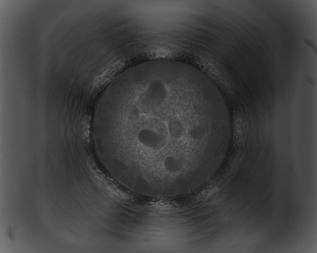 X0000101450545200807141246