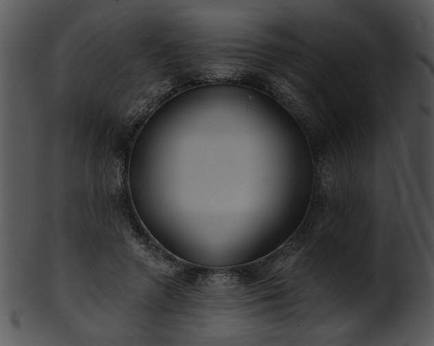 X0000101450546200807141246