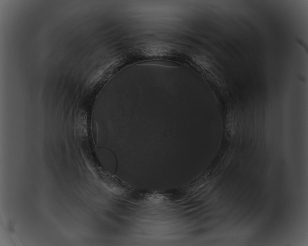 X0000101450547200807141246