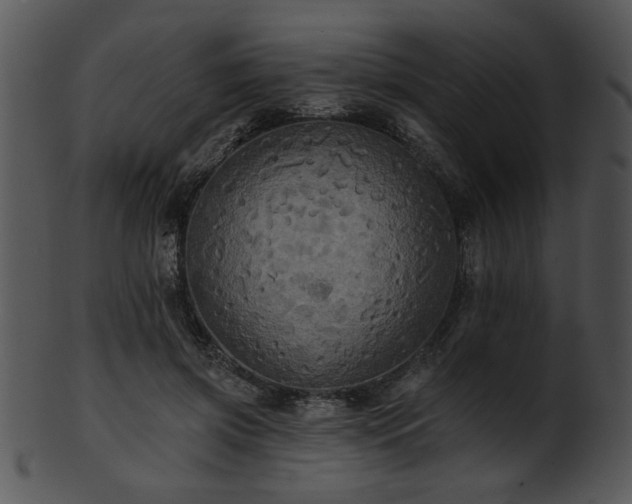 X0000101450549200807141246