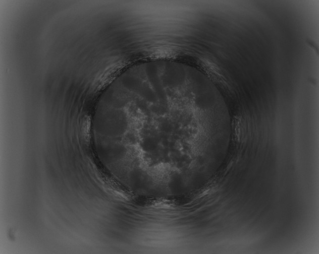 X0000101450550200807141246