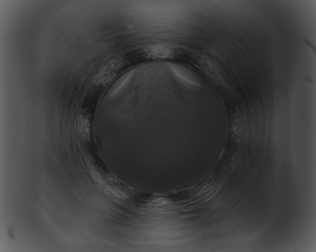 X0000101450551200807141246