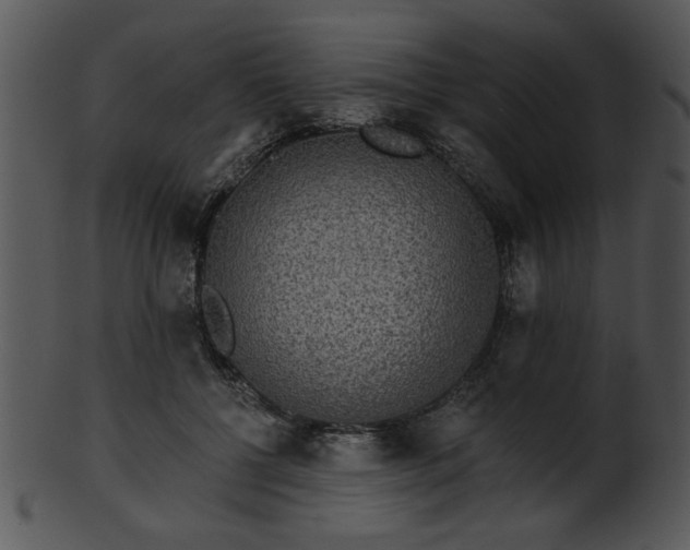 X0000101450552200807141246