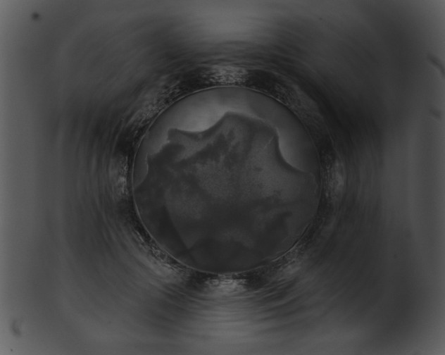 X0000101450553200807141246