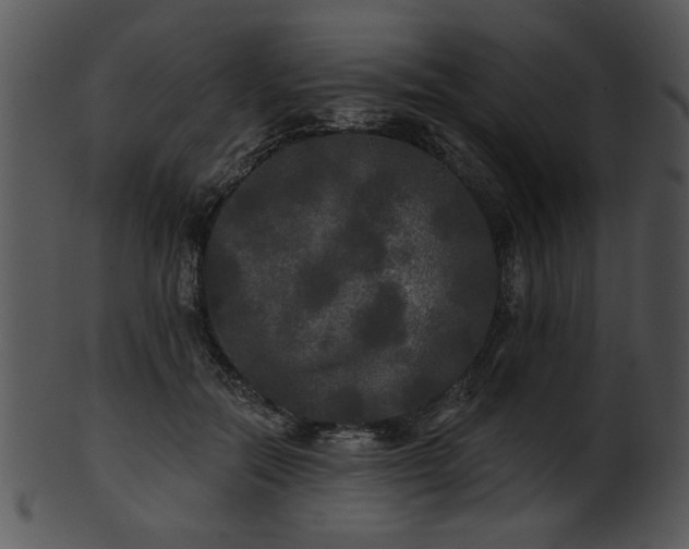 X0000101450554200807141246