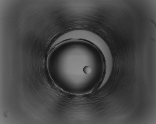 X0000101450556200807141246