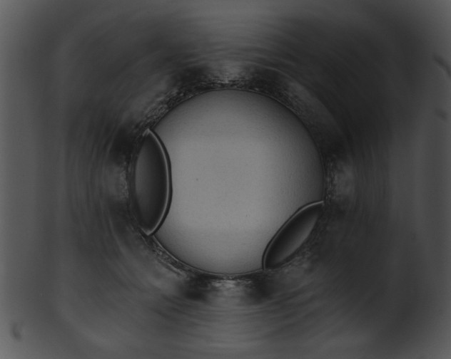 X0000101450558200807141246