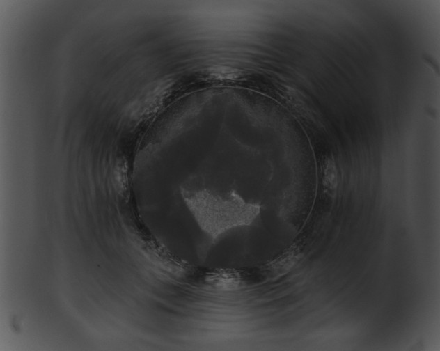 X0000101450559200807141246