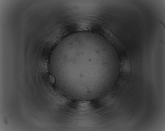 X0000101450560200807141246