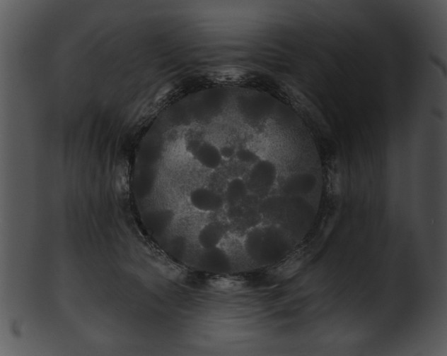 X0000101450561200807141246