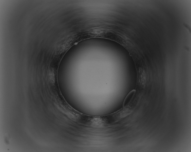 X0000101450562200807141246