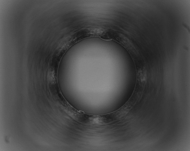 X0000101450564200807141246