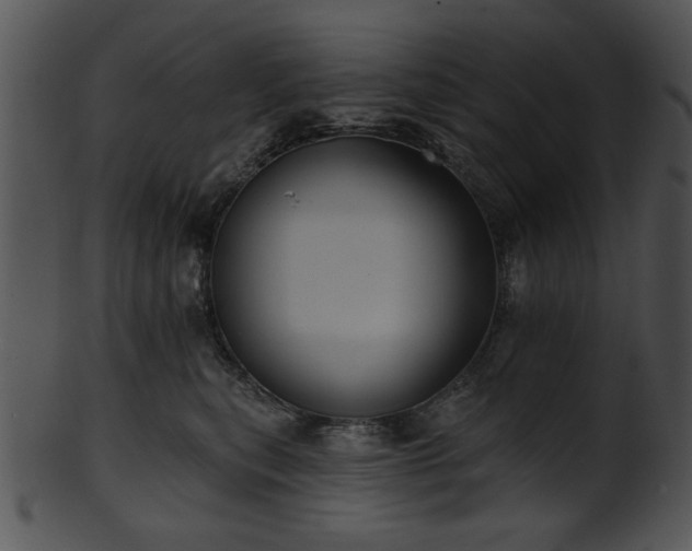 X0000101450567200807141246