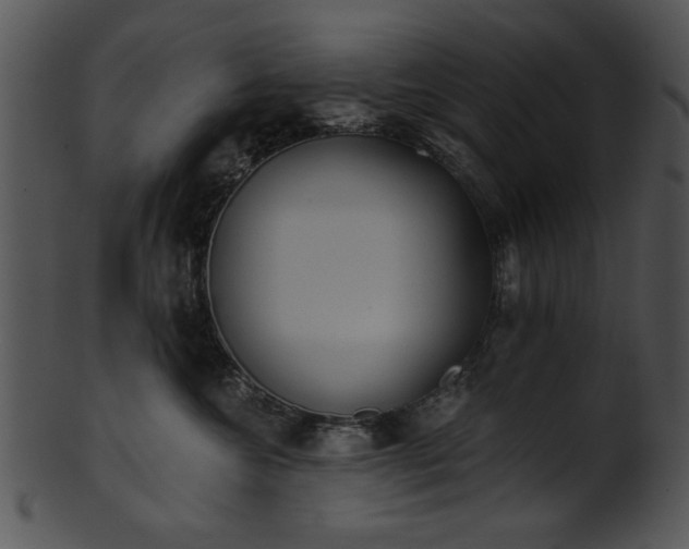 X0000101450572200807141246