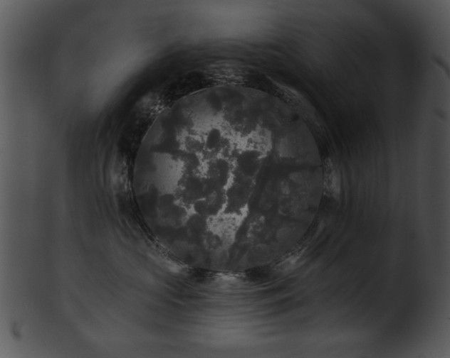 X0000101450573200807141246