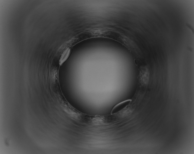 X0000101450574200807141246