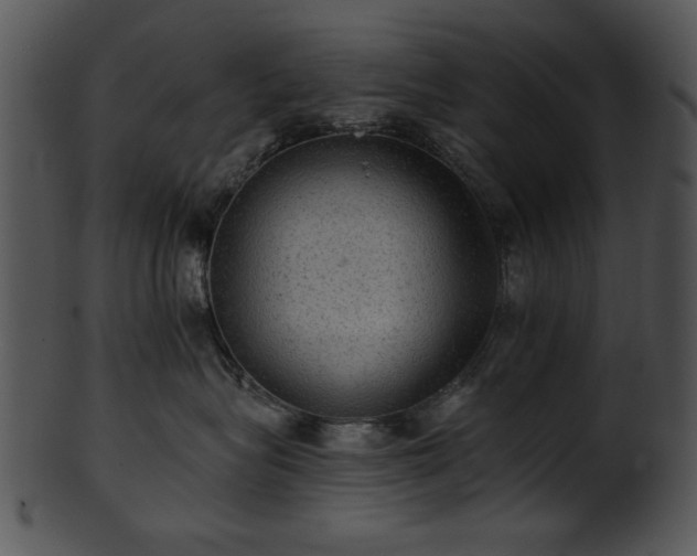 X0000101450575200807141246