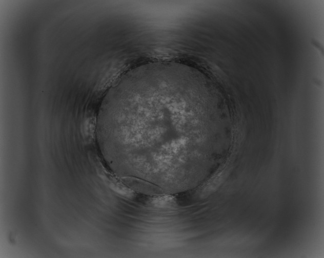 X0000101450576200807141247