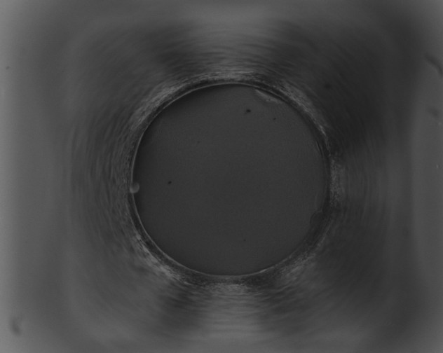 X0000101450577200807141246