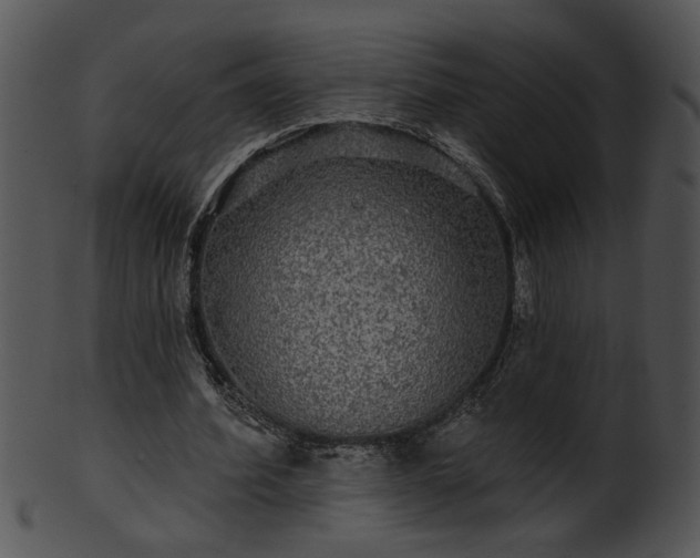 X0000101450580200807141246