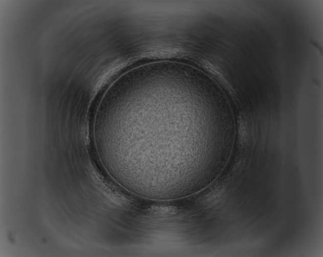 X0000101450582200807141246