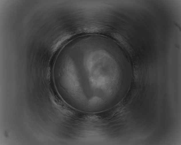 X0000101450583200807141246